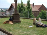 2011- 182.jpg
